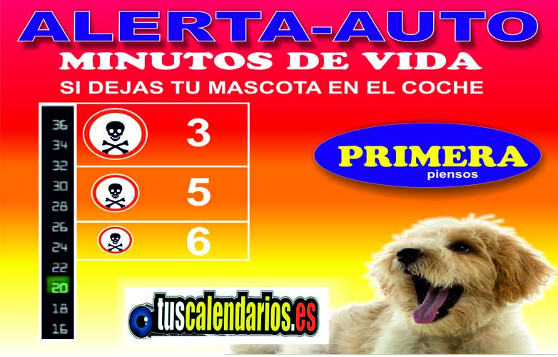 termometros para coche